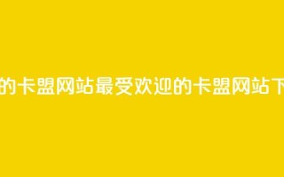 最大的卡盟网站(最受欢迎的卡盟网站)