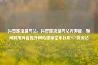 抖音涨流量网站，抖音涨流量网站有哪些，如何利用抖音提升网站流量亿乐社区SUP货源站