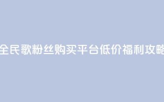 全民K歌粉丝购买平台低价福利攻略