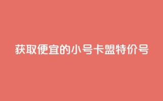获取便宜的QQ小号：卡盟特价号