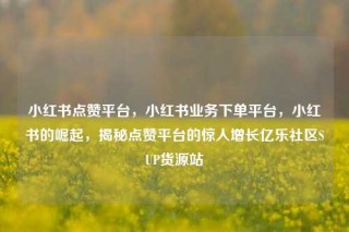 小红书点赞平台，小红书业务下单平台，小红书的崛起，揭秘点赞平台的惊人增长亿乐社区SUP货源站