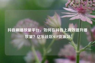 抖音刷播放量平台，如何在抖音上高效提升播放量？亿乐社区SUP货源站
