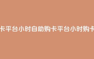 卡盟自助购卡平台24小时(自助购卡平台24小时购卡渠道)