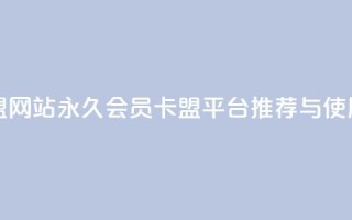 永久qq会员卡盟网站 - 永久QQ会员卡盟平台推荐与使用指南!