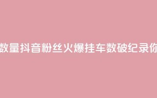 抖音粉丝和挂车数量 - 抖音粉丝火爆，挂车数破纪录，你不能错过~