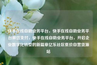 快手在线自助业务平台，快手在线自助业务平台微信支付，快手在线自助业务平台，开启企业数字化转型的新篇章亿乐社区低价自营货源站