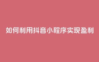 如何利用抖音小程序实现盈利