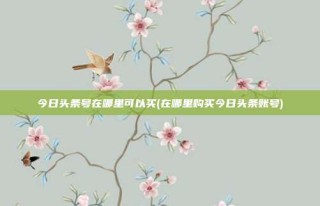 今日头条号在哪里可以买(在哪里购买今日头条账号)