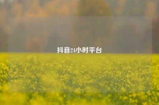 抖音24小时平台