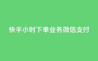 快手24小时下单业务微信支付,刷QQ空间访问人数 - 1元3000粉丝快手涨粉 - qq点赞业务