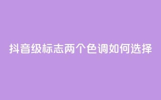 抖音75级标志两个色调如何选择