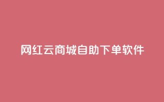 网红云商城自助下单软件,24小时自助下单全网最低价 - 拼多多无限助力app - 拼多多抽奖大转盘