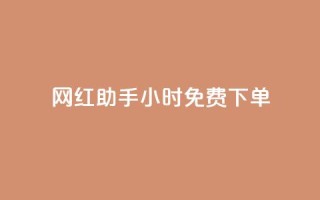 网红助手24小时免费下单,dy业务推广 - dy低价下单平台卡盟 - qq主页名片点赞链接