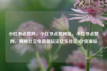 小红书点赞网，小红书点赞网址，小红书点赞网，揭秘社交电商新玩法亿乐社区SUP货源站