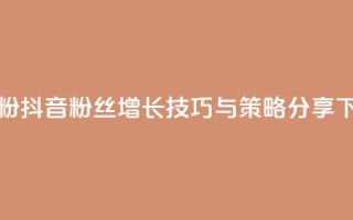 ds抖音粉 - 抖音粉丝增长技巧与策略分享~