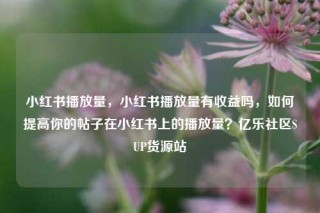 小红书播放量，小红书播放量有收益吗，如何提高你的帖子在小红书上的播放量？亿乐社区SUP货源站