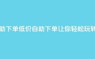 子潇网络低价自助下单(低价自助下单，让你轻松玩转子潇网络)