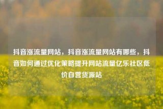 抖音涨流量网站，抖音涨流量网站有哪些，抖音如何通过优化策略提升网站流量亿乐社区低价自营货源站