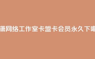 子潇网络工作室 - 卡盟卡qq会员永久
