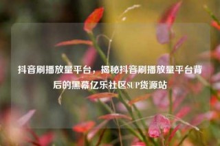 抖音刷播放量平台，揭秘抖音刷播放量平台背后的黑幕亿乐社区SUP货源站