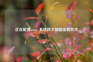 正在配置winre 系统找不到指定的文件