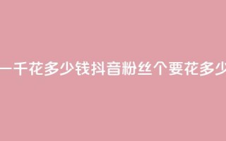 抖音粉丝一千花多少钱(抖音粉丝1000个要花多少钱)