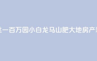 快手粉丝一百万0.01园小白龙马山肥大地房产装修网站,QQ红钻卡盟 - qq业务自助 - 子潇网络平台是合法吗