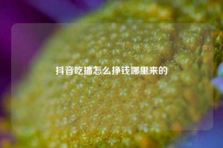 抖音吃播怎么挣钱哪里来的