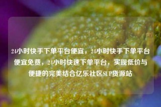24小时快手下单平台便宜，24小时快手下单平台便宜免费，24小时快速下单平台，实现低价与便捷的完美结合亿乐社区SUP货源站