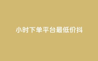 24小时下单平台最低价抖,nap6科技网自助平台 - 快手涨赞涨流量 - 闲鱼业务自助网站