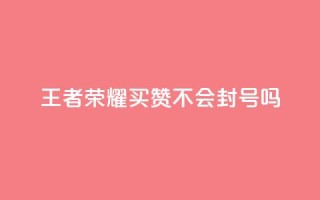 王者荣耀买赞不会封号吗,快手播放量网址 - qq空间访客购买 - qq空间刷转发说说