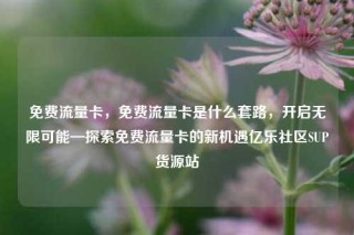 免费流量卡，免费流量卡是什么套路，开启无限可能—探索免费流量卡的新机遇亿乐社区SUP货源站