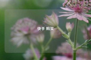 快手 购买