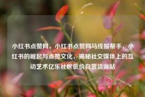 小红书点赞网，小红书点赞网马线报帮手，小红书的崛起与点赞文化，揭秘社交媒体上的互动艺术亿乐社区低价自营货源站