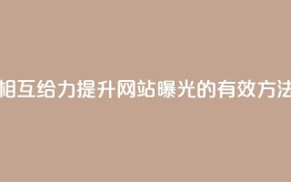 相互给力：提升网站曝光的有效方法