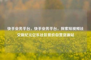 快手业务平台，快手业务平台，探索短视频社交新纪元亿乐社区低价自营货源站