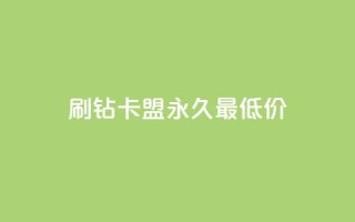 qq刷钻卡盟永久最低价,qq空间多少访客算正常 - 网红助手24小时下单平台 - 抖音快速增长粉丝的软件