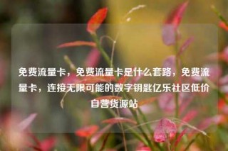 免费流量卡，免费流量卡是什么套路，免费流量卡，连接无限可能的数字钥匙亿乐社区低价自营货源站