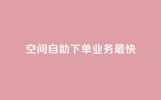 空间自助下单业务最快,快手业务全网最低价 - 粉丝下单链接 - ks保不掉粉丝
