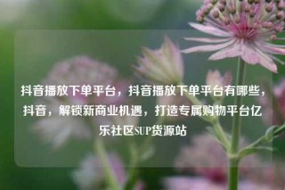 抖音播放下单平台，抖音播放下单平台有哪些，抖音，解锁新商业机遇，打造专属购物平台亿乐社区SUP货源站