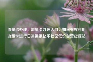 流量卡办理，流量卡办理入口，如何有效利用流量卡进行日常通讯亿乐社区低价自营货源站