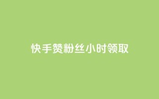 快手赞粉丝24小时领取,24小时自助商城 - ks打call刷亲密值软件 - dy评论下单业务