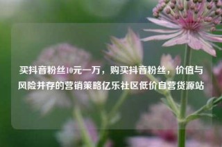 买抖音粉丝10元一万，购买抖音粉丝，价值与风险并存的营销策略亿乐社区低价自营货源站