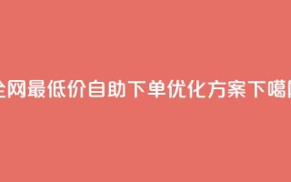 全网最低价DY自助下单优化方案