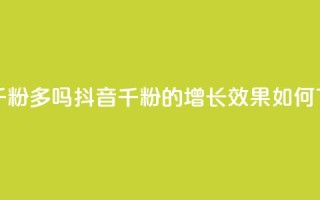 抖音千粉多吗(抖音千粉的增长效果如何？)