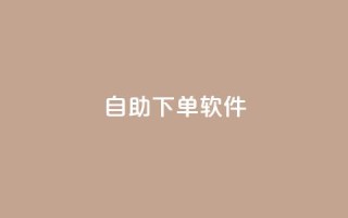 dy自助下单软件,dy24小时下单平台评论 - 抖音快手业务24小在线 - ks便宜的下单平台