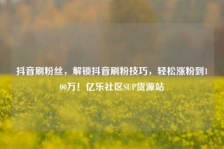 抖音刷粉丝，解锁抖音刷粉技巧，轻松涨粉到100万！亿乐社区SUP货源站