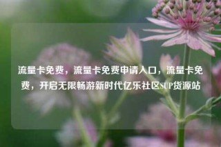 流量卡免费，流量卡免费申请入口，流量卡免费，开启无限畅游新时代亿乐社区SUP货源站