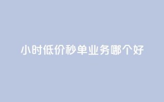 24小时低价秒单业务哪个好 - 24小时低价秒单业务推荐~