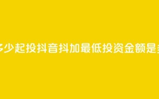 抖音抖加多少起投 - 抖音抖加最低投资金额是多少~